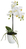 Botanic-Haus 206670-102 Künstliche Pflanze Indoor Künstliche Blütenpflanze