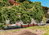 Märklin 46755 scale model Train model Preassembled HO (1:87)