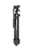 Manfrotto MK290LTA3-V tripod Universal 3 leg(s) Black