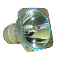OPTOMA TW556-3D Originele Losse Lamp