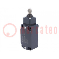 Limit switch; rubber seal,steel roller Ø13mm; NO + NC; 10A; IP67