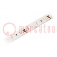 LED szalag; fehér meleg; 3014; 12V; LED/m: 60; 10mm; IP68; 120°; 6W/m