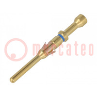 Contact; male; 16; gold-plated; 0.32÷0.52mm2; 22AWG÷20AWG; bulk
