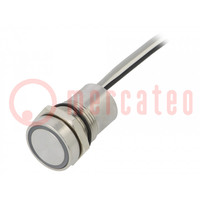 Schakelaar: capacitief; pos: 2; SPST-NO; 0,01A/12VDC; IP68; zilver