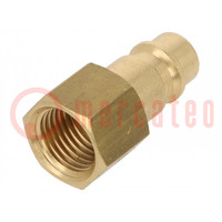 Thread plug-in EURO; nipple; brass; Int.thread: 1/4"