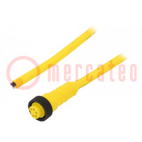 Connection lead; 7/8”; PIN: 5; straight; 3m; plug; 7.3A; -15÷90°C