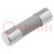 Fuse: fuse; gG; 6A; 500VAC; ceramic,cylindrical,industrial