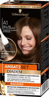 Schwarzkopf Diadem Ansatzset