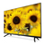 Strong SRT32HD5553 Fernseher 81,3 cm (32") HD Smart-TV WLAN Schwarz