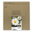 Epson Daisy Multipack Margherita 4 colori Inchiostri Claria Home 18XL in confezione EasyMail Packaging
