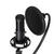 Lorgar LRG-CMT931 mikrofon Fekete Játékkonzol mikrofon