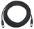 Zebra CBL-PWRD035-M12M12 electriciteitssnoer Zwart 3,5 m M12