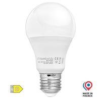 Ampoule LED A60 E27 10W Chaud 3000K ERP-D 1350lm