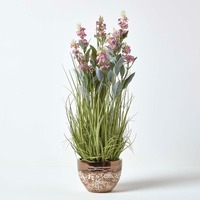 Pink Lavender Plant, in Decorative Metallic Ceramic Pot, 660 mm