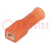 Terminal: flat; 2.8mm; 0.8mm; female; 1.5mm2; crimped; for cable