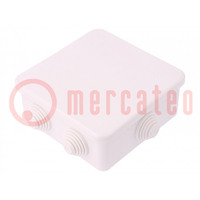 Enclosure: junction box; X: 110mm; Y: 110mm; Z: 50mm; wall mount