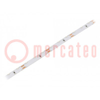 LED tape; white cold; 335; 12V; LED/m: 60; 8mm; white PCB; IP20