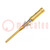 Contact; male; brass; gold-plated; 26AWG÷22AWG; crimped