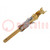 Contact; male; 16; brass; gold-plated; 0.2÷0.6mm2; 24AWG÷20AWG