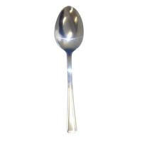 Dessert Spoon Stainless Steel Pk12