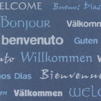 Coba Schmutzfangmatte Easy Clean Welcome Blue/Grey 0,5m x 0,75m