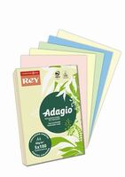 Rey "Adagio" Másolópapír színes A4 80g 5x100 lap pasztell mix (ADAGI080X908)