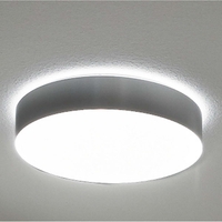 Dekorring für LED Wand-/Deckenleuchte, zylindrisch, Serie 7510, direkt/indirekt, Ø 30.2cm, edelstahloptik