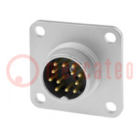 Conector: M16; tomacorriente; macho; para soldar; PIN: 12; 3A; 150V