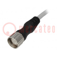 Connection lead; M23; PIN: 12; straight; 5m; plug; 125VAC; 7.5A; 7000