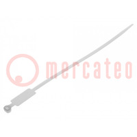 Cable tie; with label; L: 220mm; W: 4.8mm; polyamide; 220N; natural