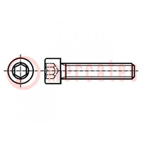 Schroef; M2x4; 0,4; Kop: cilinder; binnenzeskant; HEX 1,5mm; staal