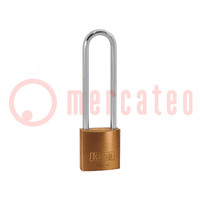 Padlock; brass; brass shackle,double bolted; shackle; A: 30mm
