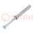 Plastic anchor; with screw; 6x40; zinc-plated steel; N; 100pcs.