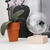 Kikkerland ST85 statue et figurine décorative Métallique, Transparent, Bois