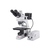 Microscopio metalográfico BA310 MET, binocular, cable EU