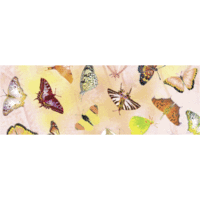 Transparentpapier 115g/qm 50x61cm Schmetterling