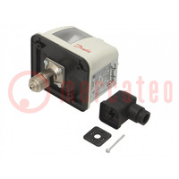 Module: pressure switch; pressure; OUT 1: SPDT; 250VAC/1A; BCP