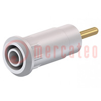 Connector: 2mm banana; socket; Overall len: 29mm; white; plug-in