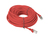 Lanberg PCF5-10CC-5000-R kabel sieciowy Czerwony 5 m Cat5e F/UTP (FTP)