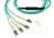 BlueOptics 9380014-2M-BO Glasvezel kabel MPO 4x LC OM3 Muntkleur