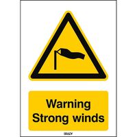 ISO Safety Sign - Warning , Strong winds ,