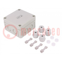 Enclosure: junction box; X: 94mm; Y: 94mm; Z: 57mm; polystyrene; IP54