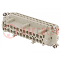 Connector: HDC; contact insert; female; DE; PIN: 24; 24+PE; 16A; 500V