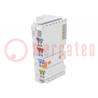 Analog output; 24VDC; RJ45; IP20; Ethernet; 0÷55°C