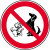 Hundeverbot Verbotsschild - Verbotszeichen Alu geprägt, Größe 10 cm ¥