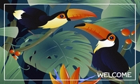 TAPIS VELVET TOUCAN 45X75 MERCURY 003449-2-4