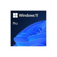 Windows 11 Pro 64Bit DSP 1pk Deutsch DVD