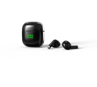 Blaupunkt BLP4899 Hoofdtelefoons Draadloos In-ear Oproepen/muziek USB Type-C Bluetooth Zwart