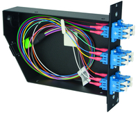Telegärtner 100022399 Glasvezel kabel 12x LC PC OS2 Meerkleurig