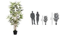 PAPERFLOW Plante artificielle "Bambou", hauteur : 1.600 mm (74600189)